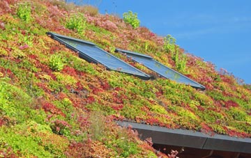 Lytham St Annes living roof systems